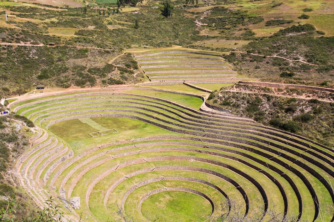moray