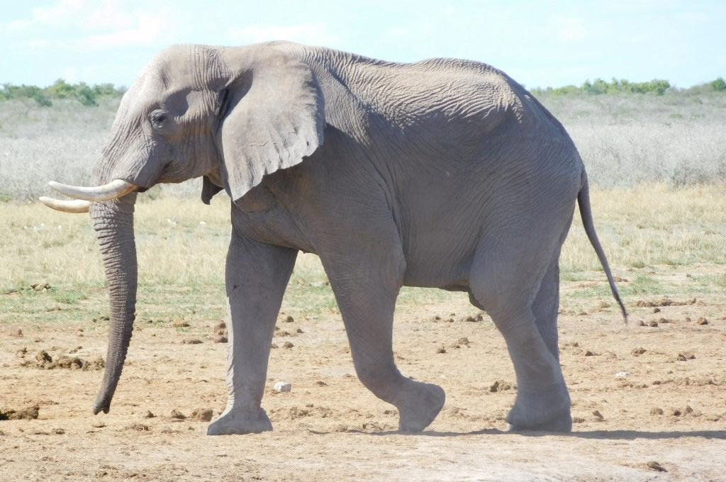 Flot Viagens - Viagem em Grupo