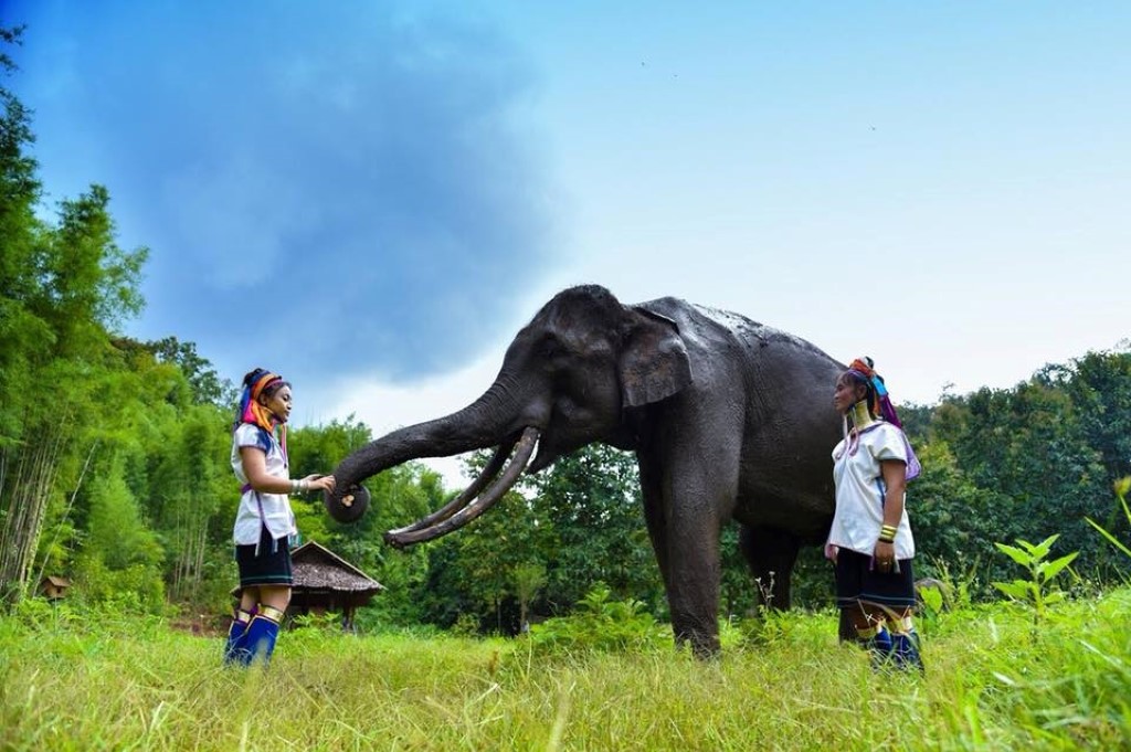 Flot Viagens - Viagem em Grupo