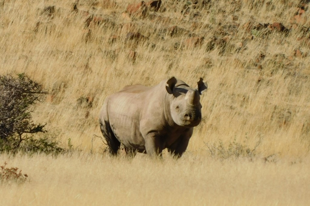 Flot Viagens - Viagem em Grupo