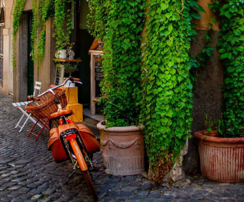 Flot Viagens