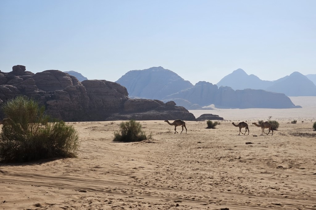 Flot Viagens - Viagem em Grupo