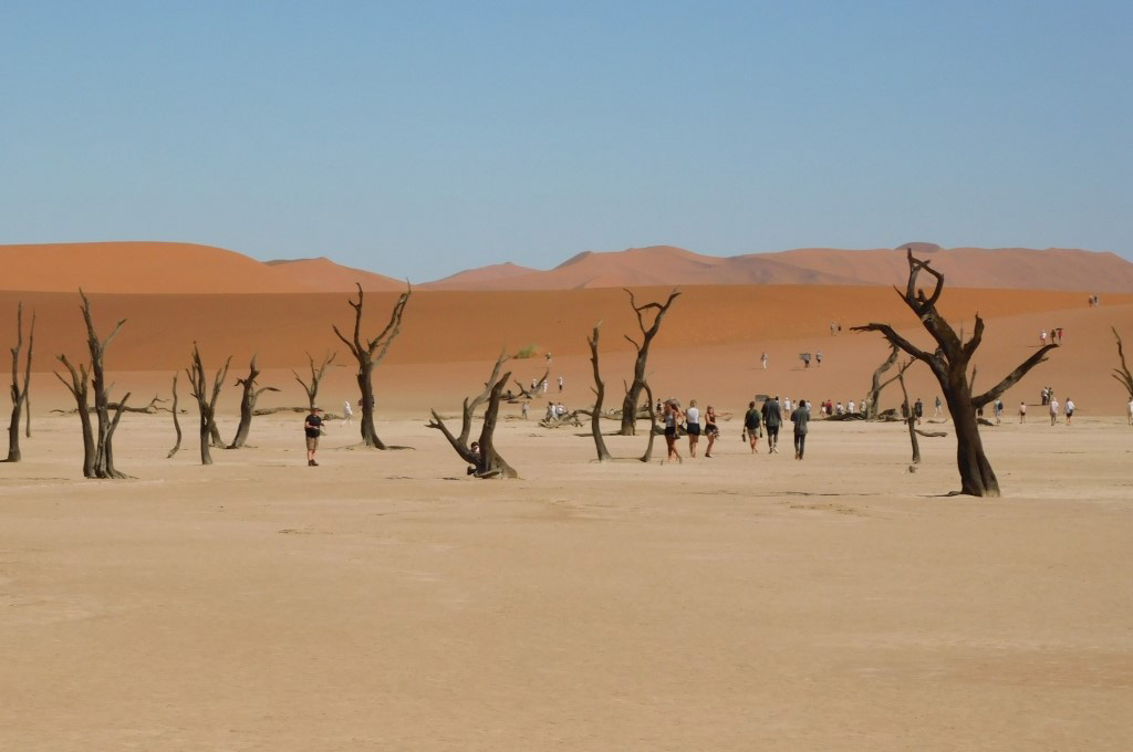 Flot Viagens - Viagem em Grupo