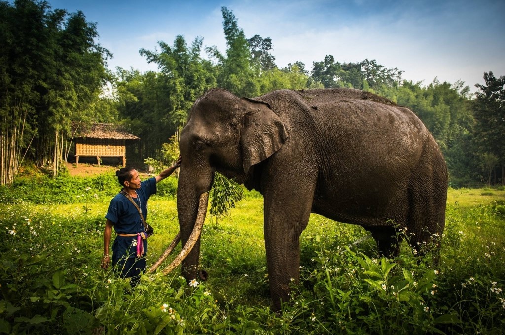 Flot Viagens - Viagem em Grupo