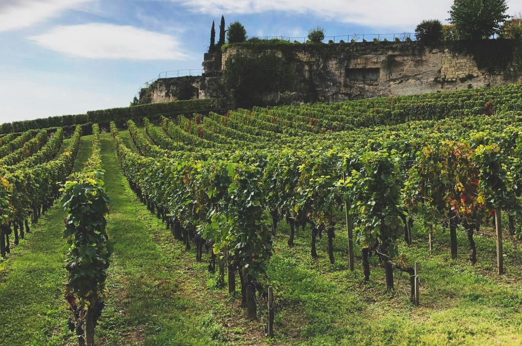 Flot Viagens - Viagem em Grupo