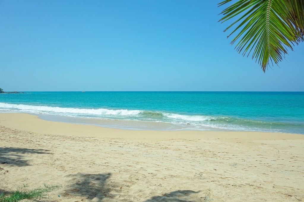 Flot Viagens - Viagem em Grupo