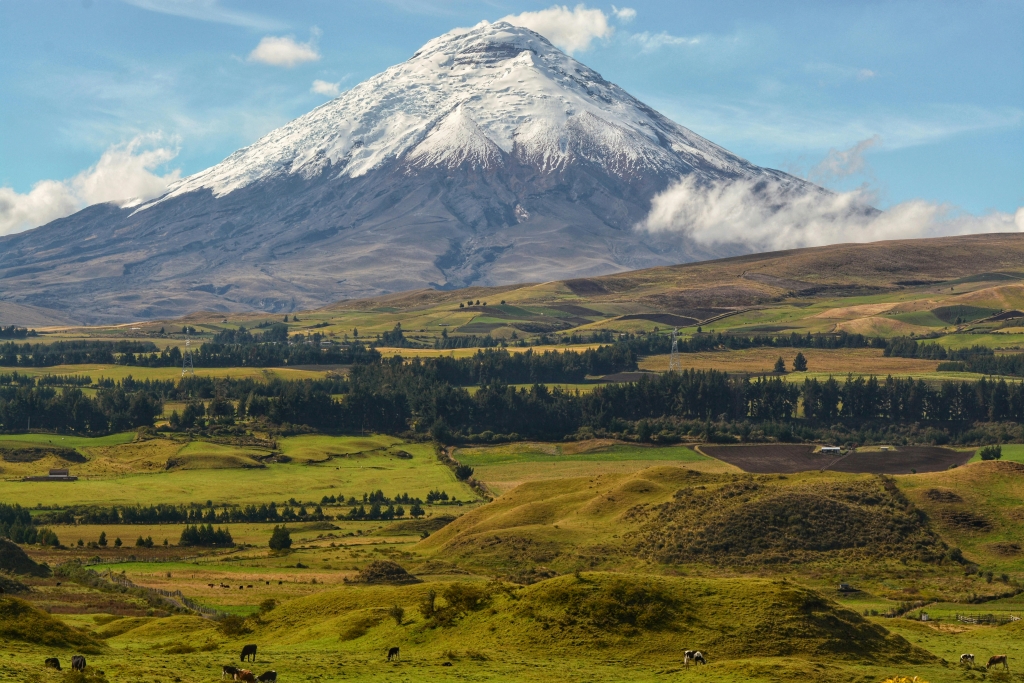 Flot Viagens - Viagem em Grupo