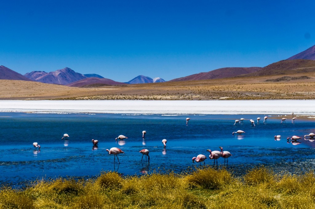 Flot Viagens - Viagem em Grupo