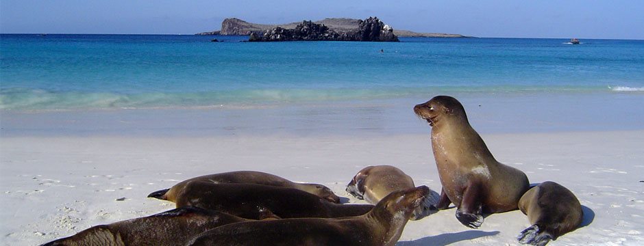 Galápagos Ilhas do Leste com Iate La Pinta 