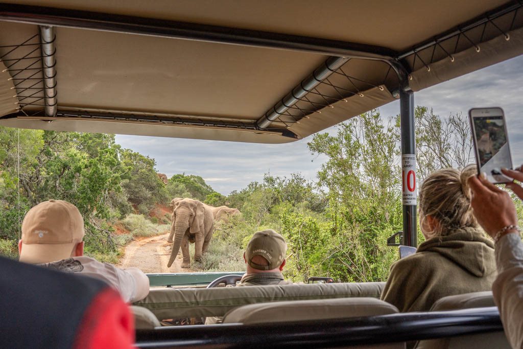 Amakhala Game Reserve