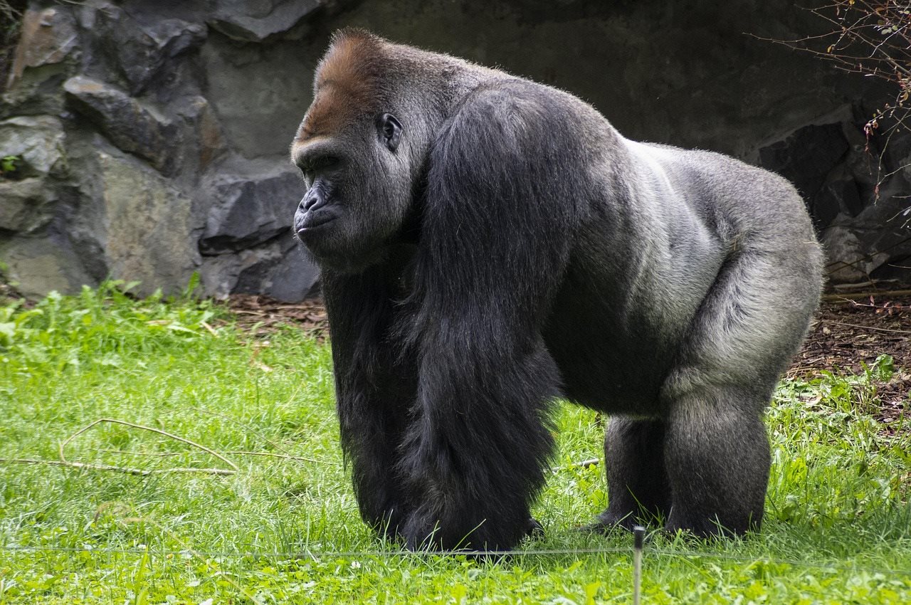 Rwanda